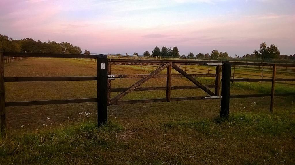 Ferienwohnung Stalemara Gard Prutgasen Fågelmara Exterior foto
